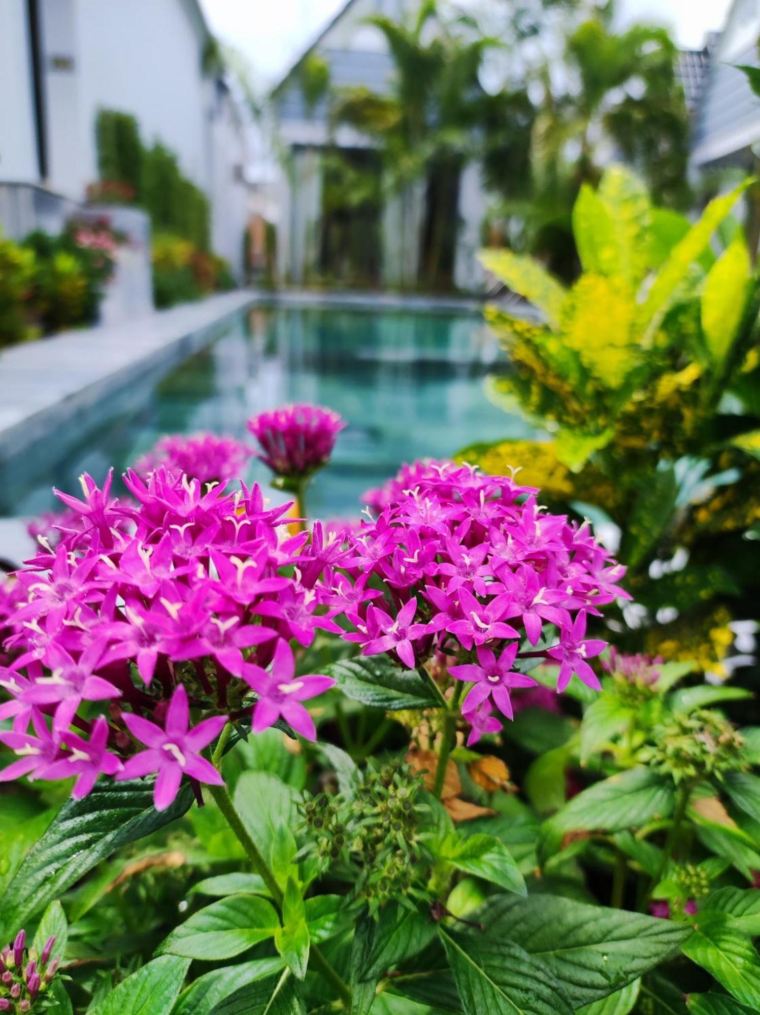 Ngoc Trai Xanh Bungalow Дуонг-Донг Экстерьер фото